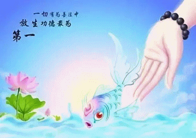 早哀，说说是怎么坦然接受供l的